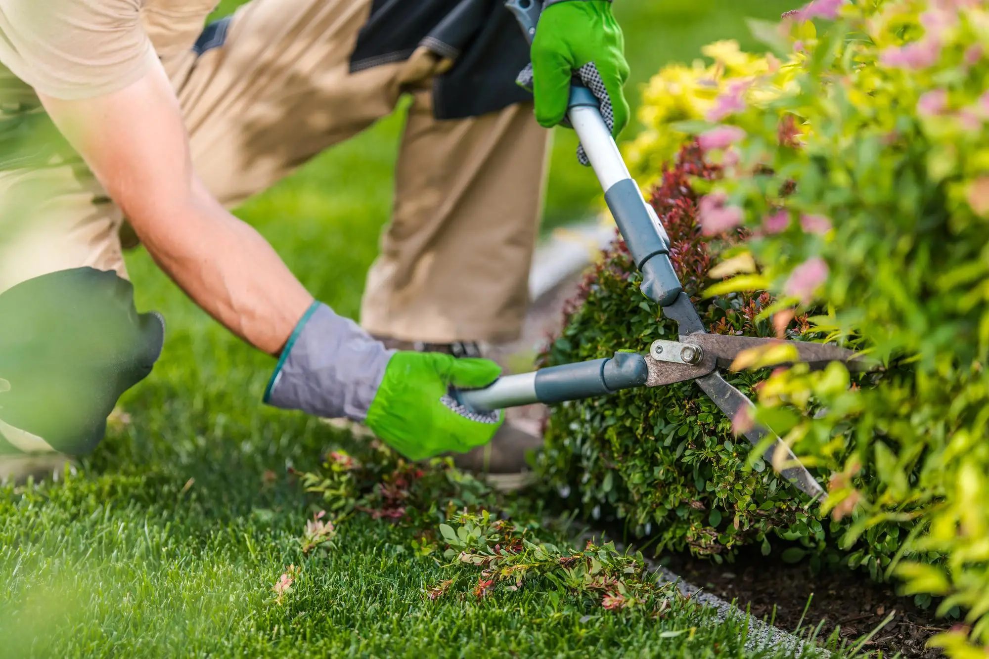 Vergers-Pépinières, experts en tonte, débroussaillage et traitements, nous assurons l’entretien de vos jardins et espaces verts pour un extérieur soigné toute l’année.