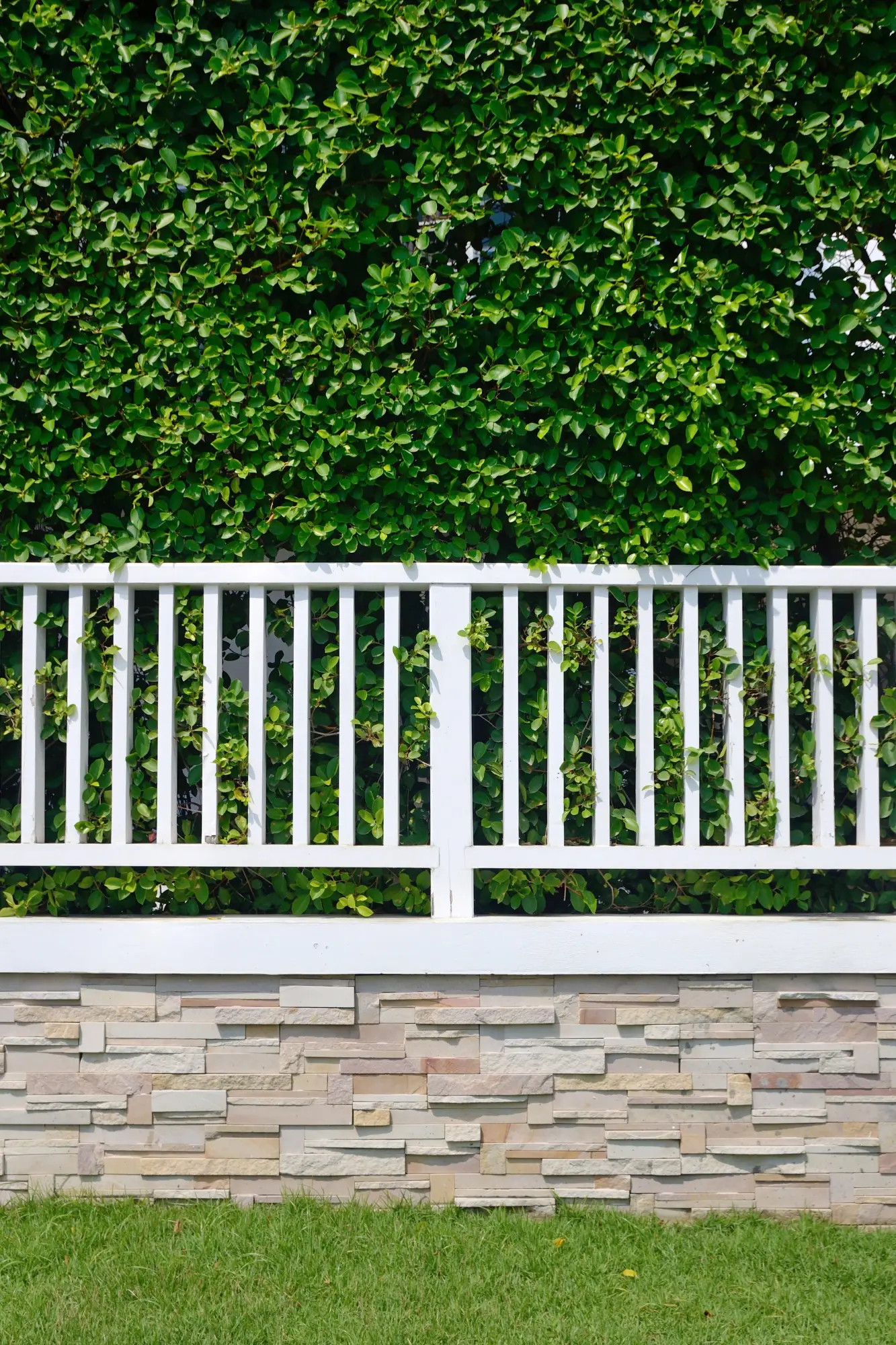 Paysagiste à Coquainvilliers : entretien de jardin, création d’espaces verts, élagage, terrasses, clôtures, abris et panneaux solaires